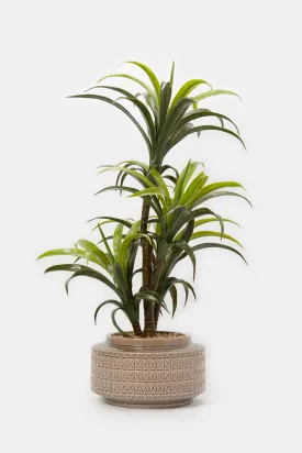 Artificial Plant In Embossed Ceramic Pot (87Cm)