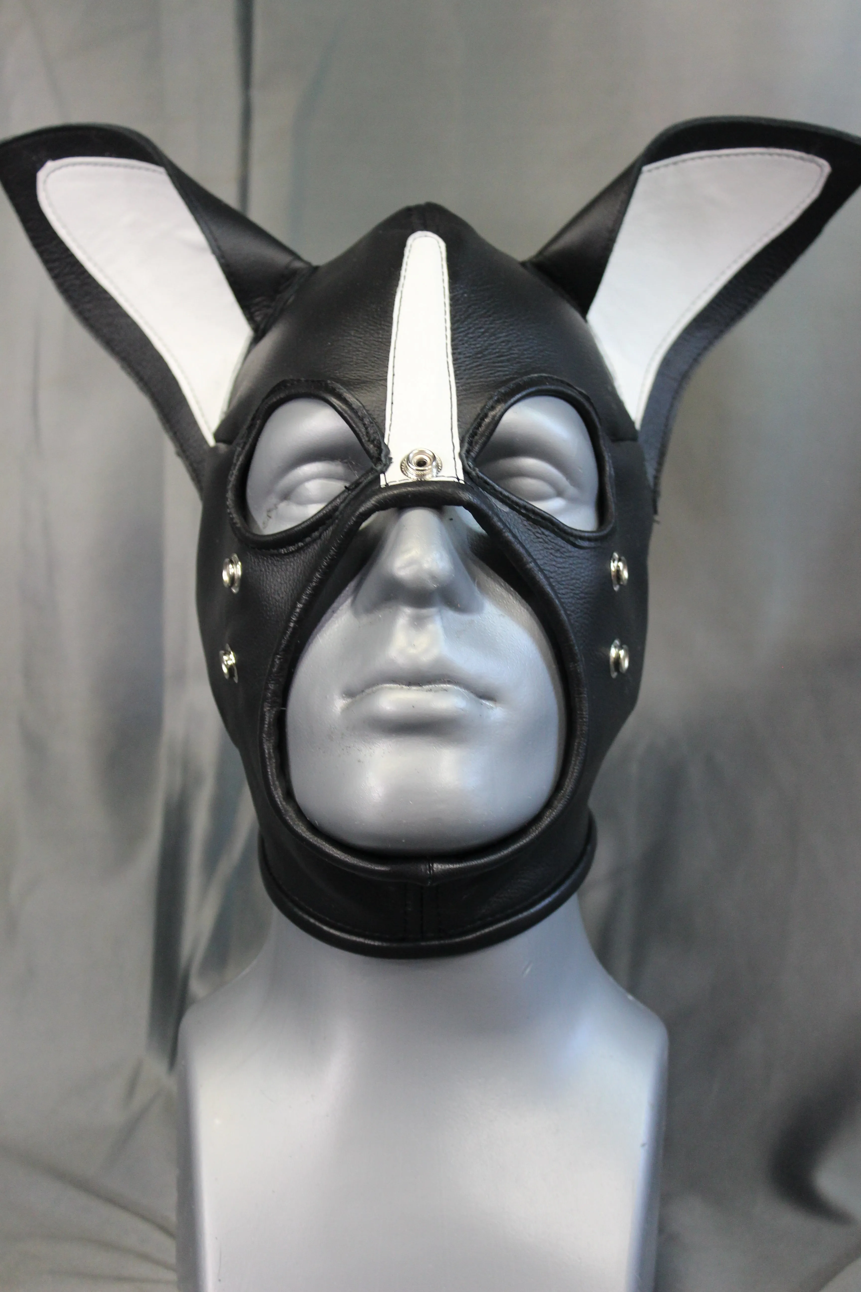 Boston Terrier Whole Head Pup Hood