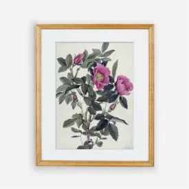 Printed Vintage Floral Plant Kitchen Wall Art